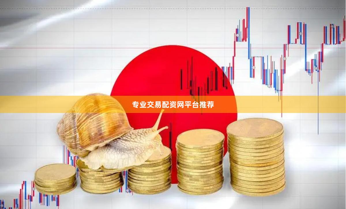 专业交易配资网平台推荐