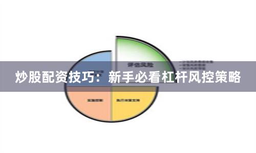 炒股配资技巧：新手必看杠杆风控策略